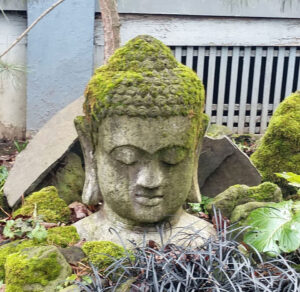Meditate with the Buddha in the Garden